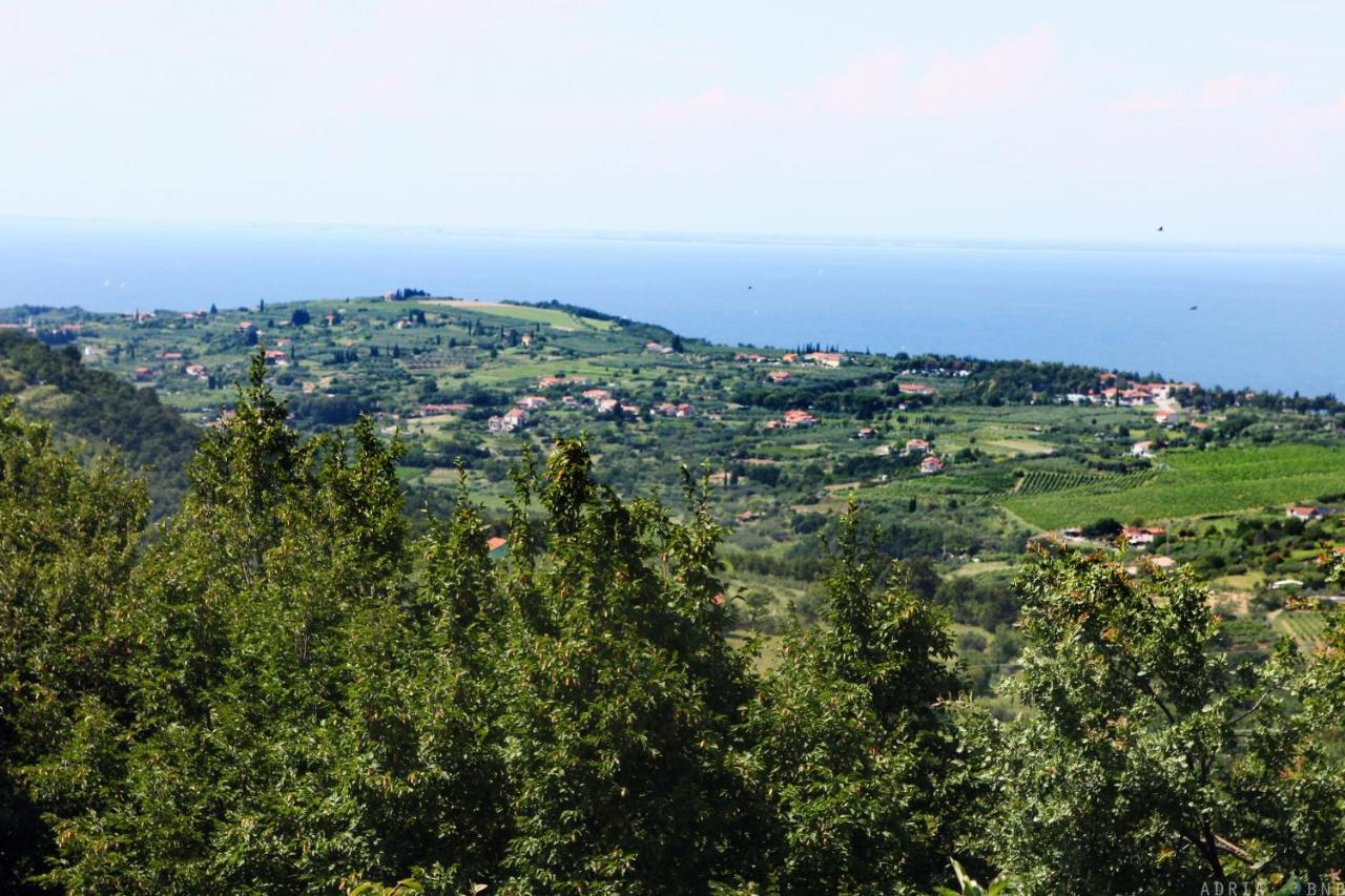 Garden Ville Izola Mira المظهر الخارجي الصورة
